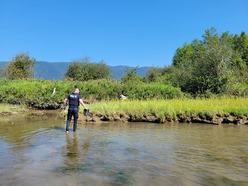 Portant un gilet de sauvetage, le gendarme Schmidt se promène dans l’eau boueuse en transportant ses bottes de travail dans une main pour enquêter sur le panneau solaire.